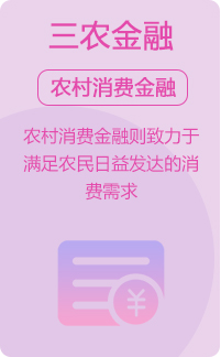 我们的业务-三农消费金融介绍